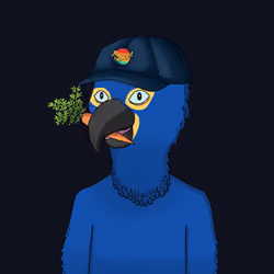 Parrot 1977