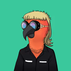 Parrot 1570