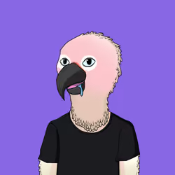 Parrot 1263