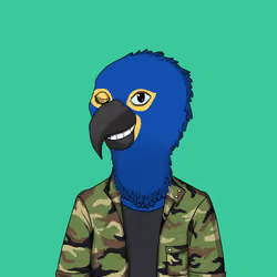 Parrot 1972