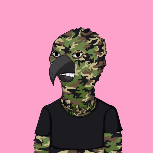 Parrot 368