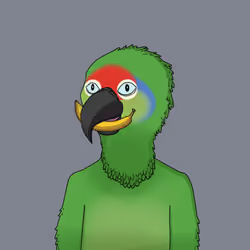 Parrot 1693