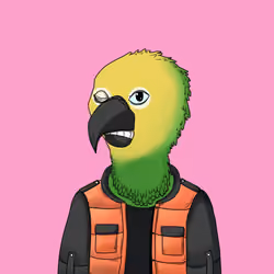 Parrot 1704