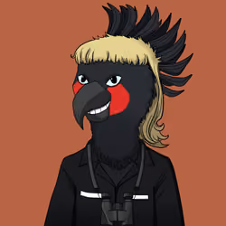 Parrot 1129