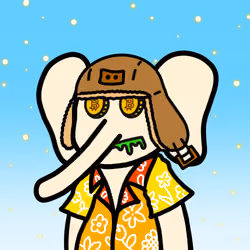 Jumbo Land #2211