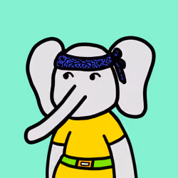 Jumbo Land #8388