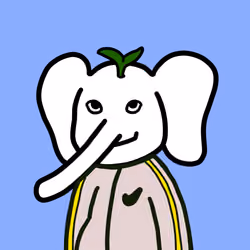 Jumbo Land #6068