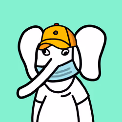 Jumbo Land #7905
