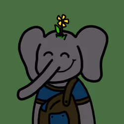 Jumbo Land #6621