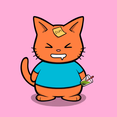 Yo Kitties