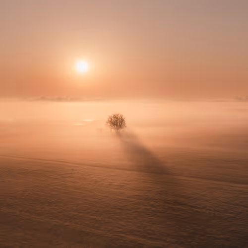 A Field of Dreams #12/21