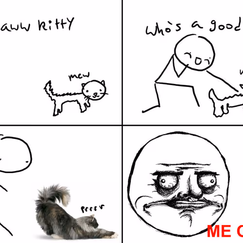 good kitty.