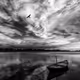 Wings on Waves