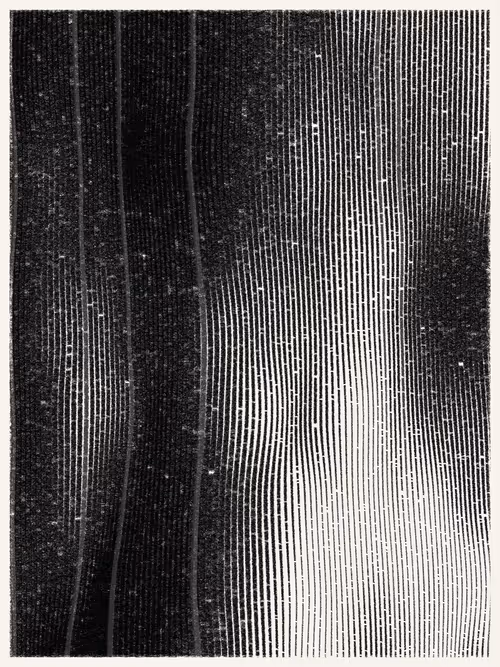 Item #3540633351 Media