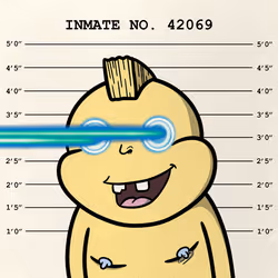 24