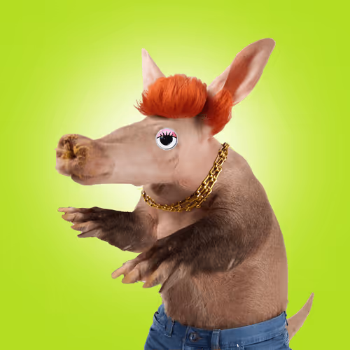 Aardvarks Non Fungible Aardvarks