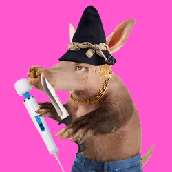 Aardvarks - Non Fungible Aardvarks #584