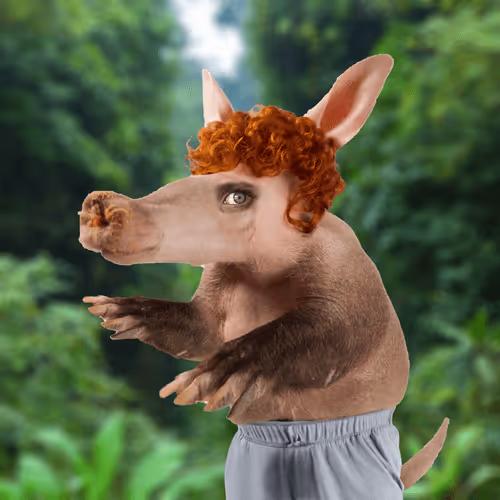 Aardvarks Non Fungible Aardvarks