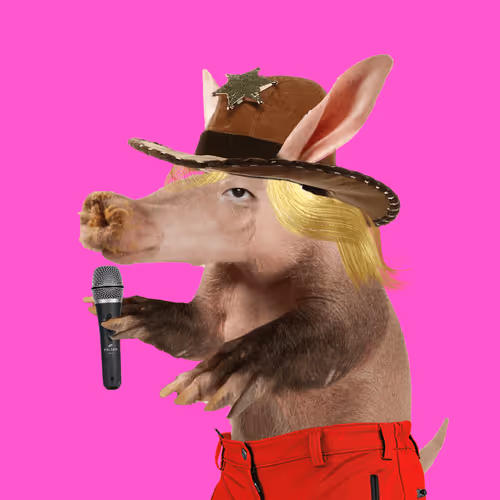 Aardvarks Non Fungible Aardvarks
