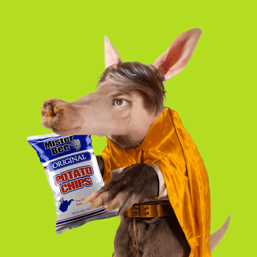Aardvarks Non Fungible Aardvarks