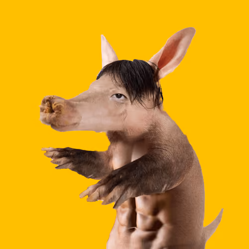 Aardvarks - Non Fungible Aardvarks #23