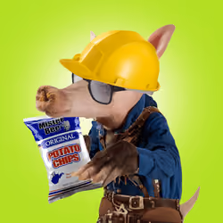 Aardvarks - Non Fungible Aardvarks #500