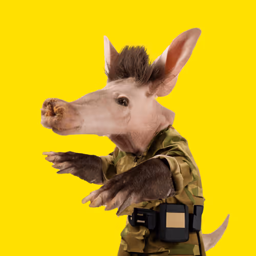 Aardvarks Non Fungible Aardvarks