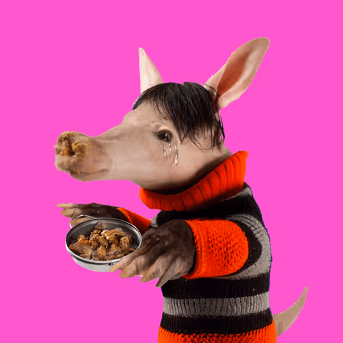 Aardvarks Non Fungible Aardvarks
