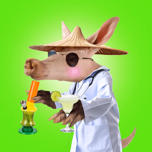 Aardvarks - Non Fungible Aardvarks #1214