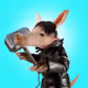 603