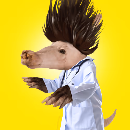 Aardvarks Non Fungible Aardvarks