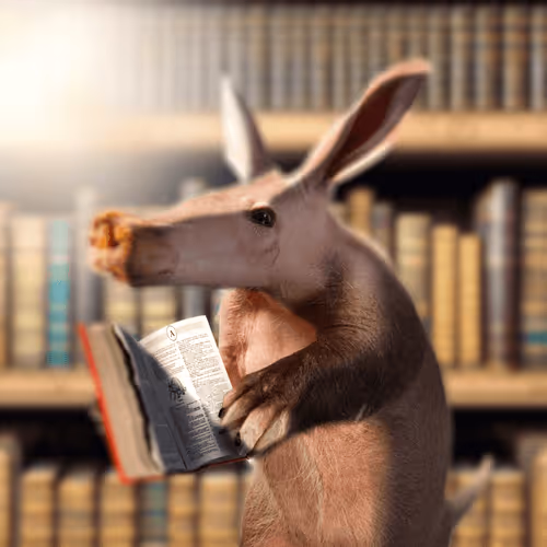 Aardvarks Non Fungible Aardvarks