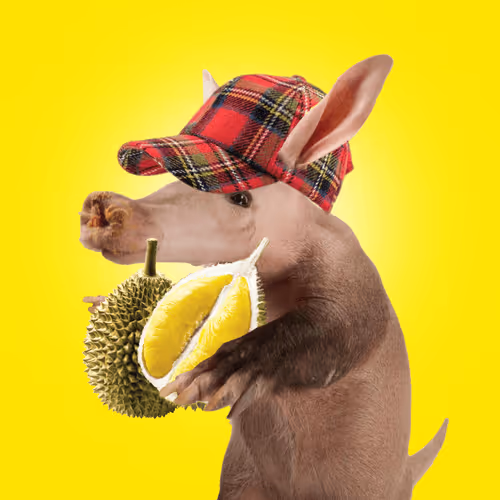 Aardvarks Non Fungible Aardvarks