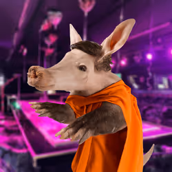 Aardvarks - Non Fungible Aardvarks #492