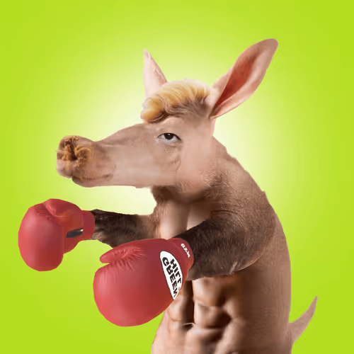 Aardvarks Non Fungible Aardvarks
