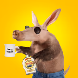 Aardvarks - Non Fungible Aardvarks #875