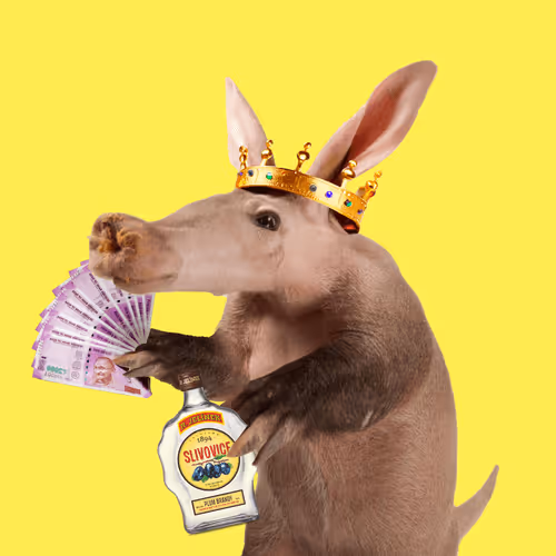 Aardvarks Non Fungible Aardvarks