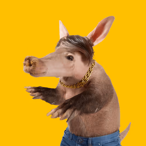 Aardvarks Non Fungible Aardvarks