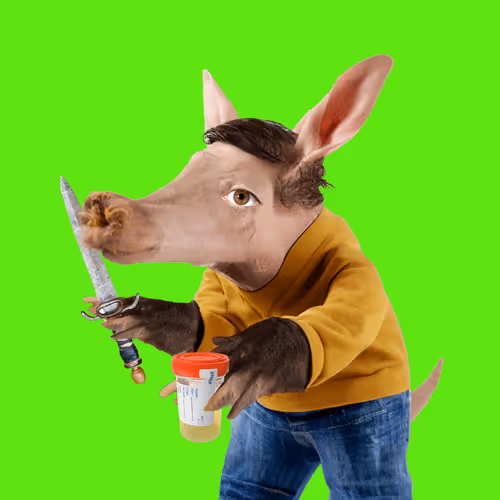 Aardvarks Non Fungible Aardvarks