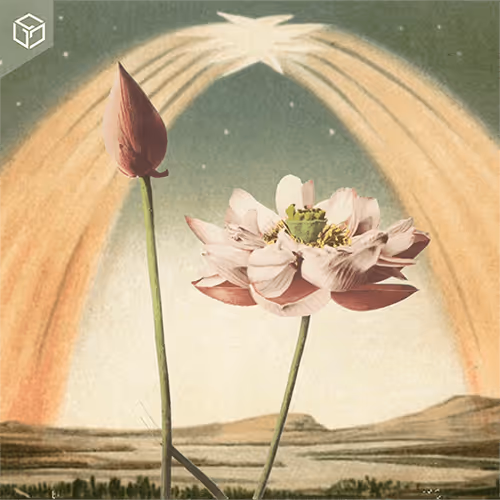 Item #537986422102003710735595254349625542311936 Media