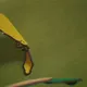 267461940399857632282212441441369814204416