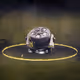 194641513878776801101050275450971416952832