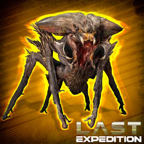 Item #493409432035360772021893180776063906611200 Media