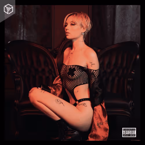 Item #470270231084736956506383707470703668232192 Media