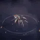 483200961027732618117991942553110860267520