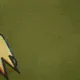259975728327596986086018200077870913552384