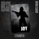 Joy (Common)
