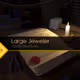 Large Jeweler