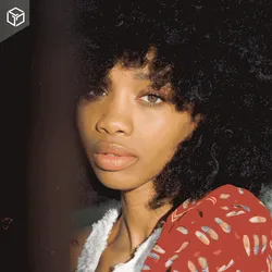 615911084126898618868708039451500462735360