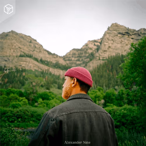 Item #470610513451657894969847082078135436443648 Media